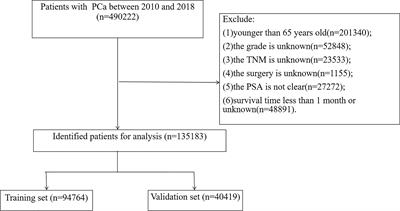 Development and Validation of Nomograms to Predict Cancer-Specific Survival and Overall Survival in Elderly Patients With Prostate Cancer: A Population-Based Study